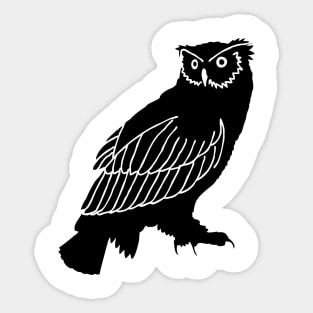 Owl Sticker